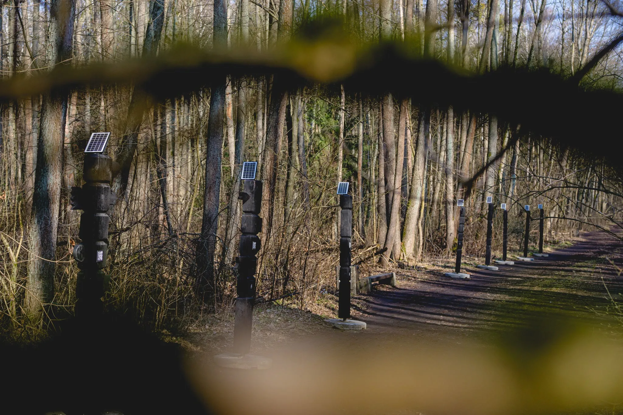 A row of black wooden totems topped with small solar panels along a path in Zwierzyniecki Forest